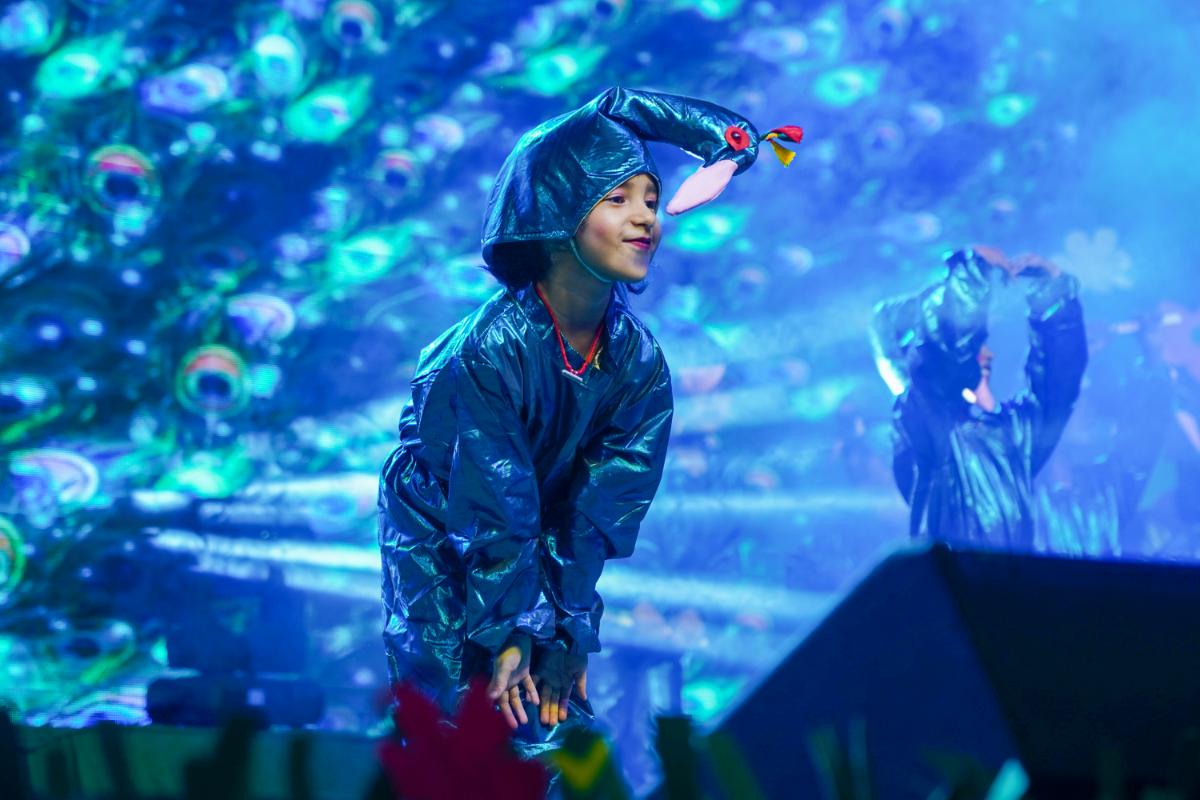 Jhonson Gramer School