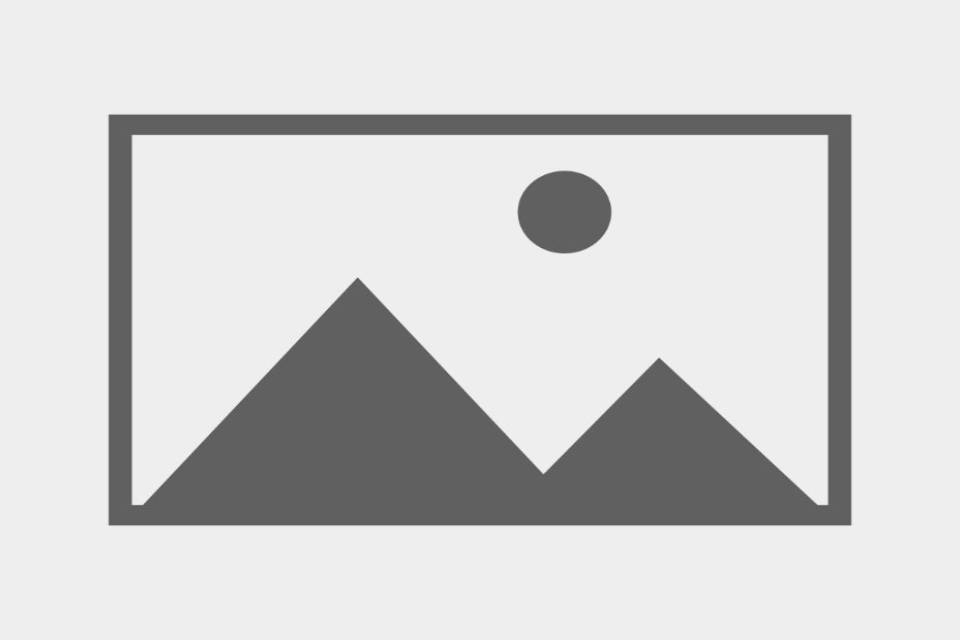 Jhonson Gramer School